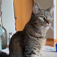 Lisa Lund profile picture