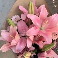 Catalina profile picture