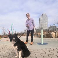 Andrew Hollenbaugh profile picture