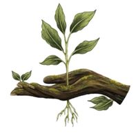 Blue Mabry profile picture