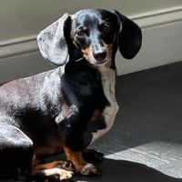 brookeandralph profile picture