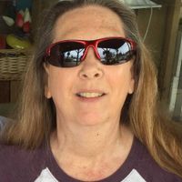 Terri Shank profile picture