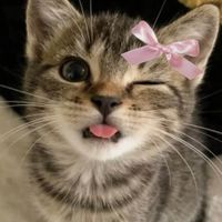 ZmileBeautyFULL profile picture