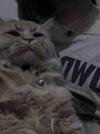 Mitzi Purificacion profile picture