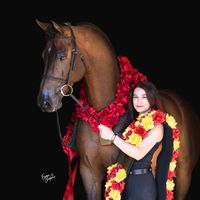 Brooke Gemmell profile picture