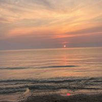 Brynn Kessler profile picture
