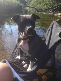 Britt Froehlke profile picture