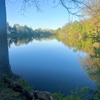 Angela Williamson profile picture