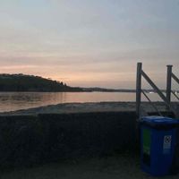 Esme nash profile picture