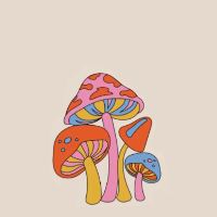 Antonija profile picture