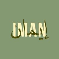 Iman Afaghany profile picture