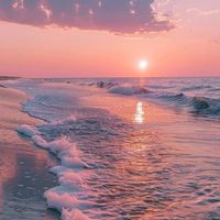 Alexis Tauber profile picture