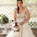 Angelina Cho profile picture