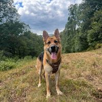 Kara Wilt profile picture