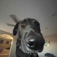 MrFood profile picture