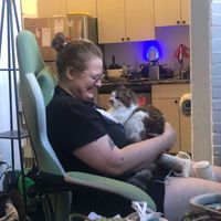 Dara Willmarth profile picture