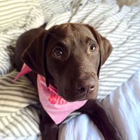 lola reed profile picture