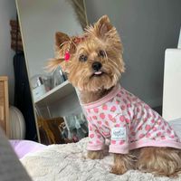 LK girl profile picture