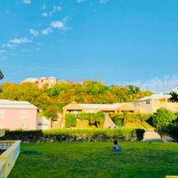 Joyce condat profile picture