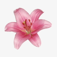 Clara profile picture