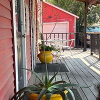 Guadalupe Martinez profile picture