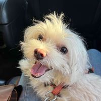 Brianna 🌸🌹 profile picture