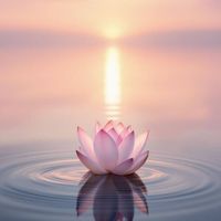 Bliss✨🌸💭 profile picture