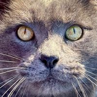 Jaime Greathouse profile picture