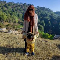 Fatima Khalid profile picture