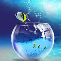 my space profile picture