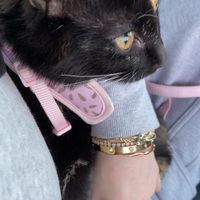 Lili profile picture