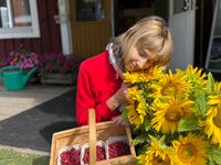 Daria Razumova profile picture