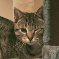 Ivy profile picture