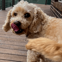 Olivia profile picture