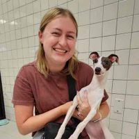 Rose Randazza profile picture