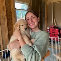 Allison & Stella the Golden profile picture