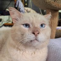 JudeArts profile picture