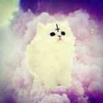 April profile picture