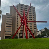 Riley Hall profile picture