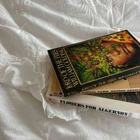 Ella Keenan profile picture