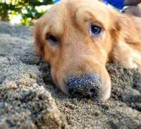 Riza Furio profile picture