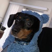 Avy profile picture