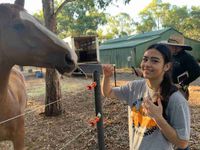 Pantea Abdollahi profile picture