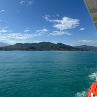 Jane N profile picture