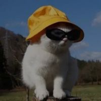 JM10 profile picture