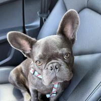 Mr Blu profile picture