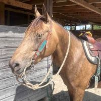 Sadie Moise profile picture