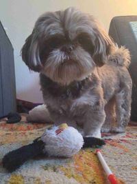 Melanie Tague profile picture