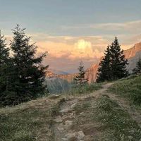 Laila profile picture