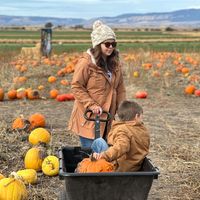 Shelby Stout profile picture